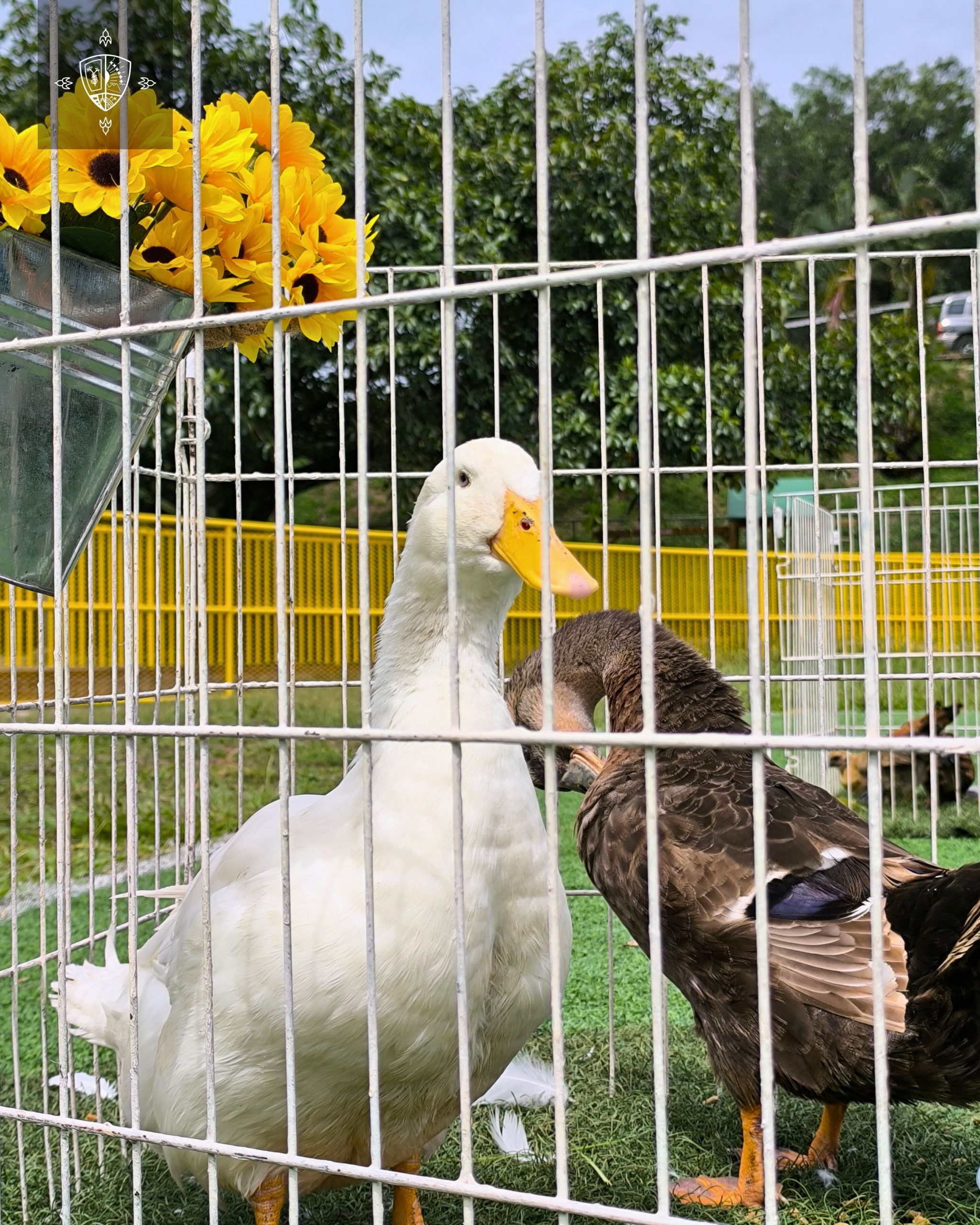 GRANJA EDUCATIVA - PARVULARIA