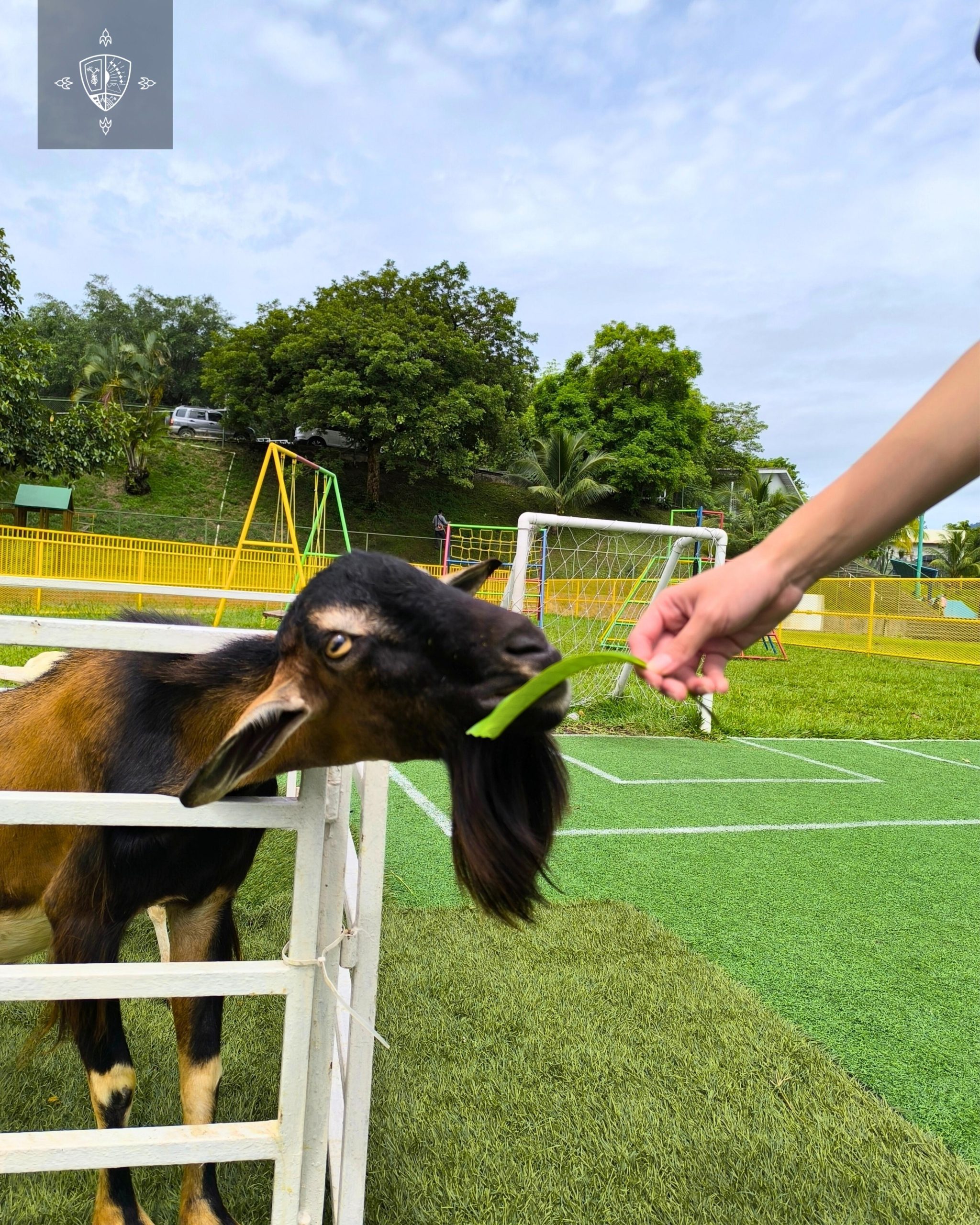 GRANJA EDUCATIVA - PARVULARIA