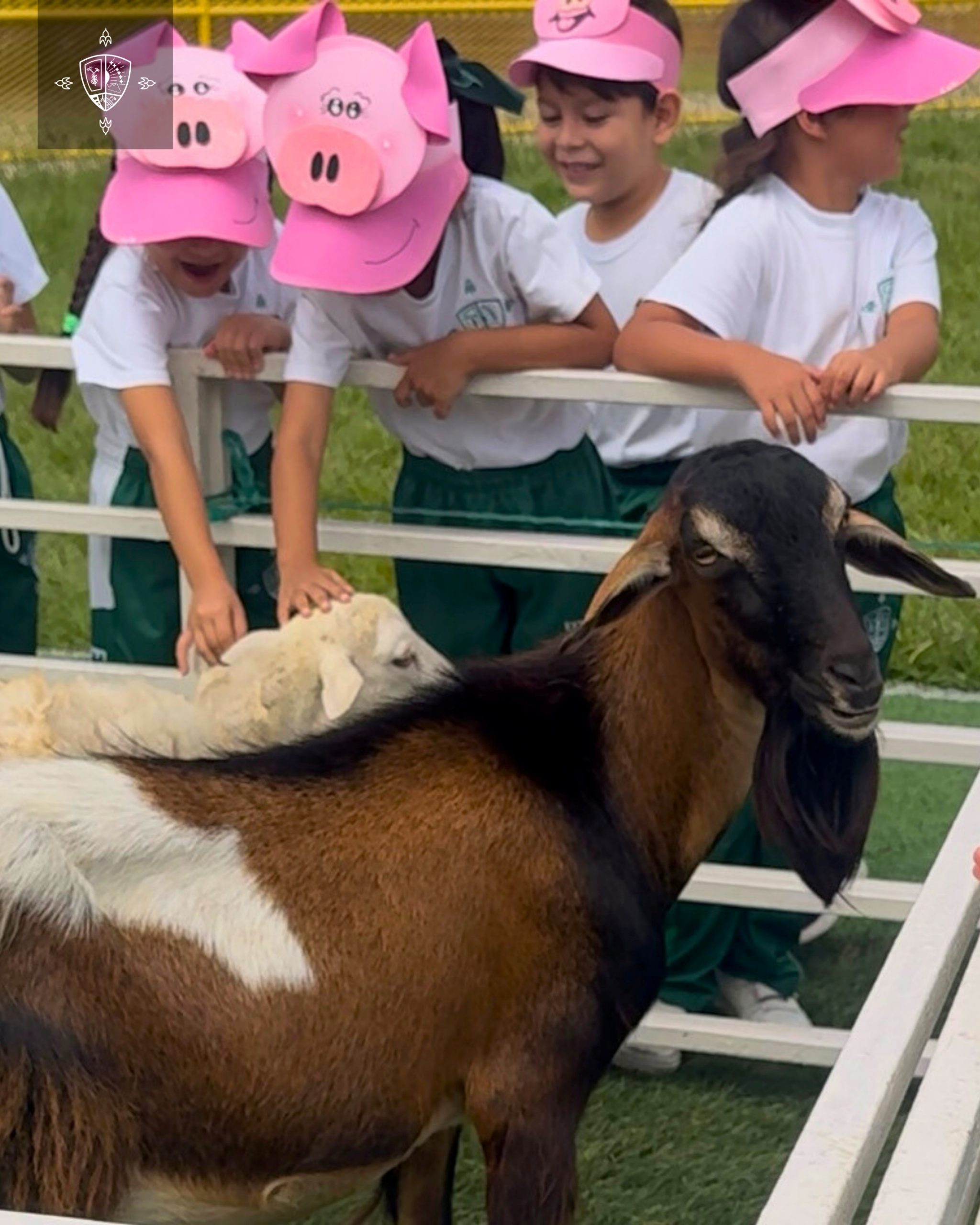 GRANJA EDUCATIVA - PARVULARIA