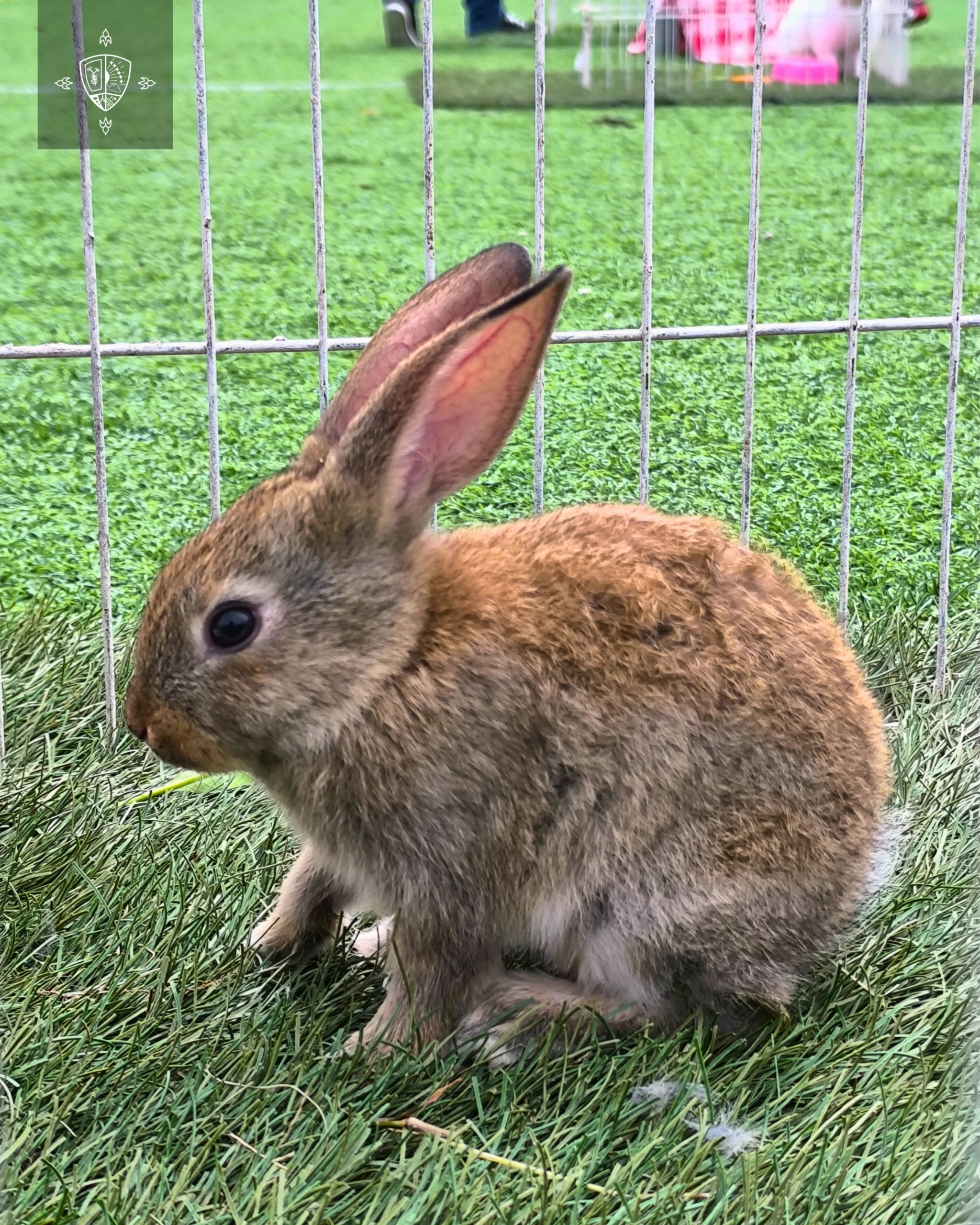 GRANJA EDUCATIVA - PARVULARIA