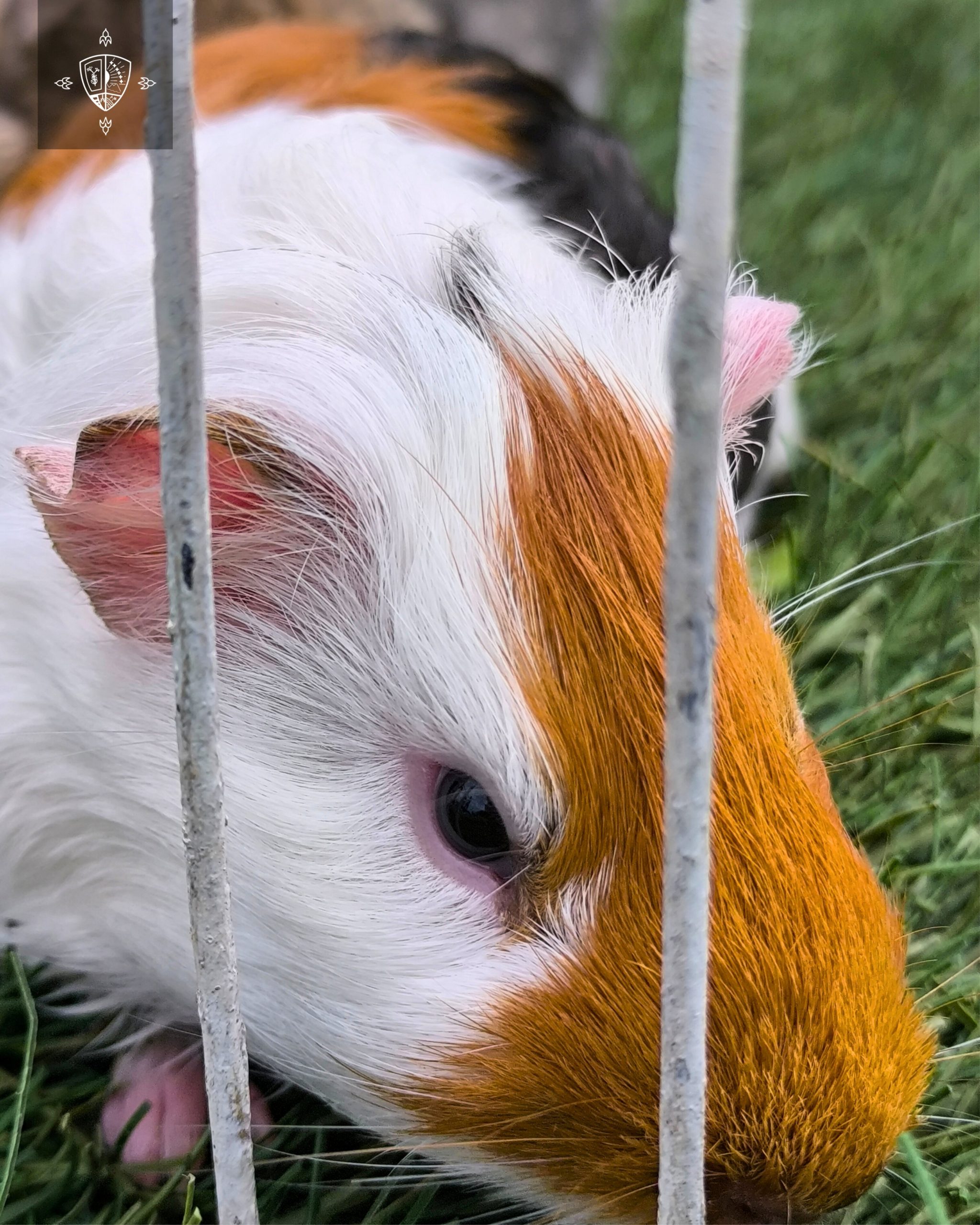 GRANJA EDUCATIVA - PARVULARIA