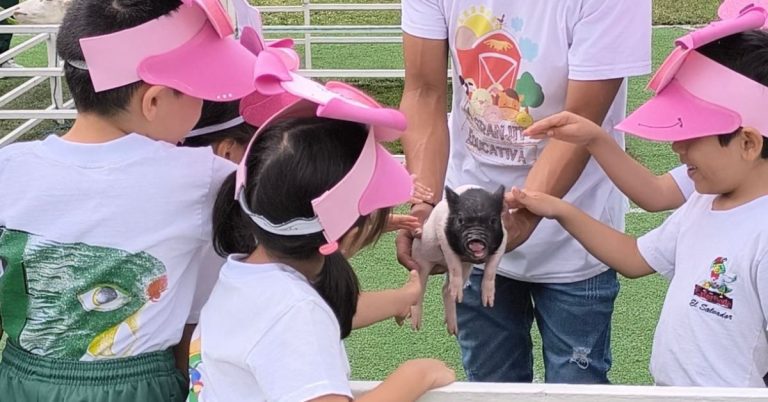 SEMANARIO-GRANJA EDUCATIVA-PARVULARIA