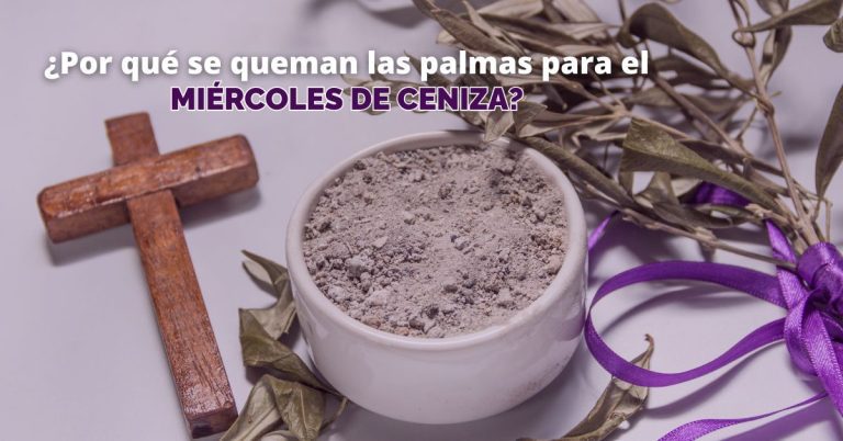 IMAGEN TOMADA DE LA WEB