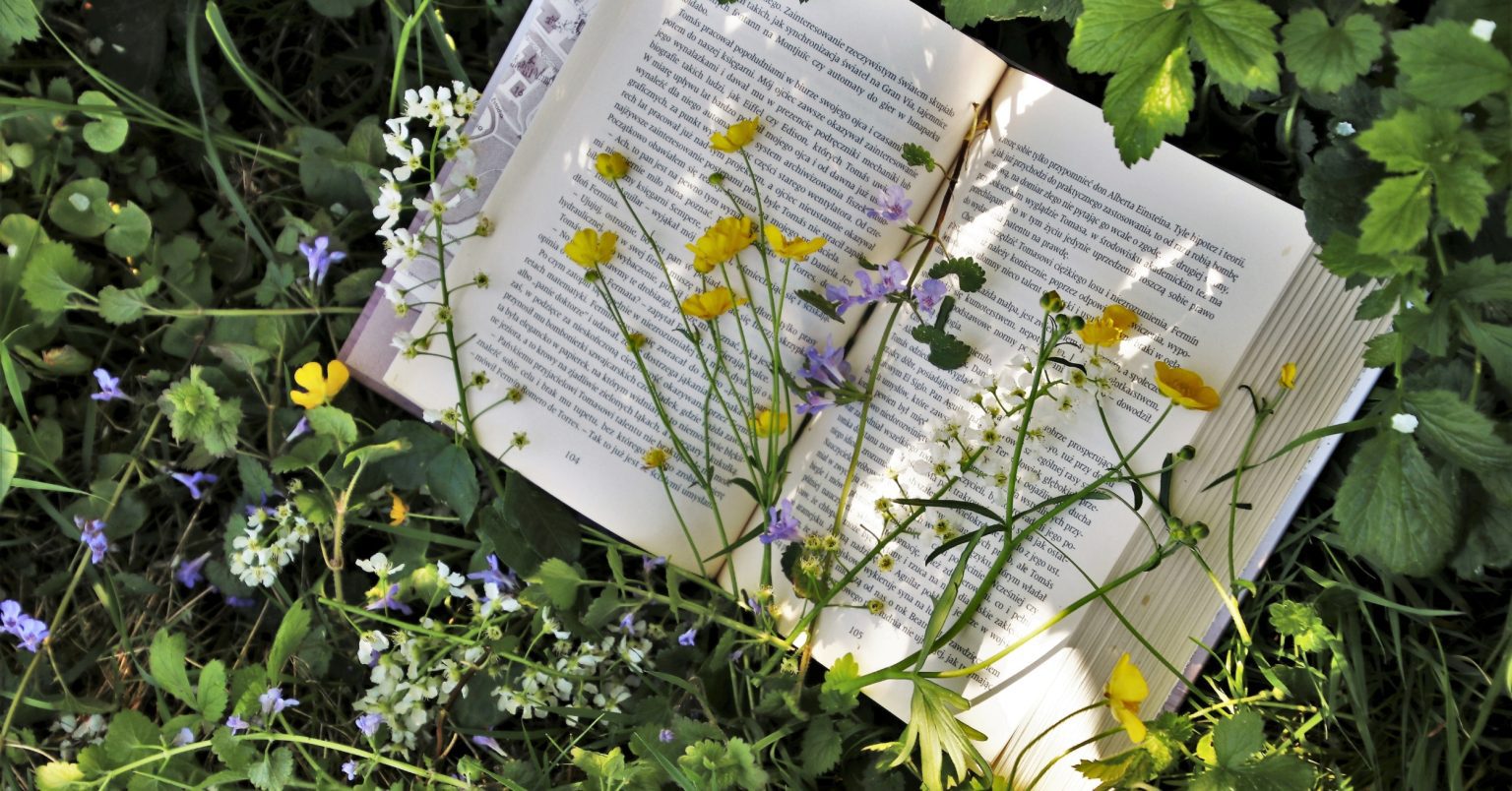 Portada de reflexión académica - el dragón, la rosa y los libros
